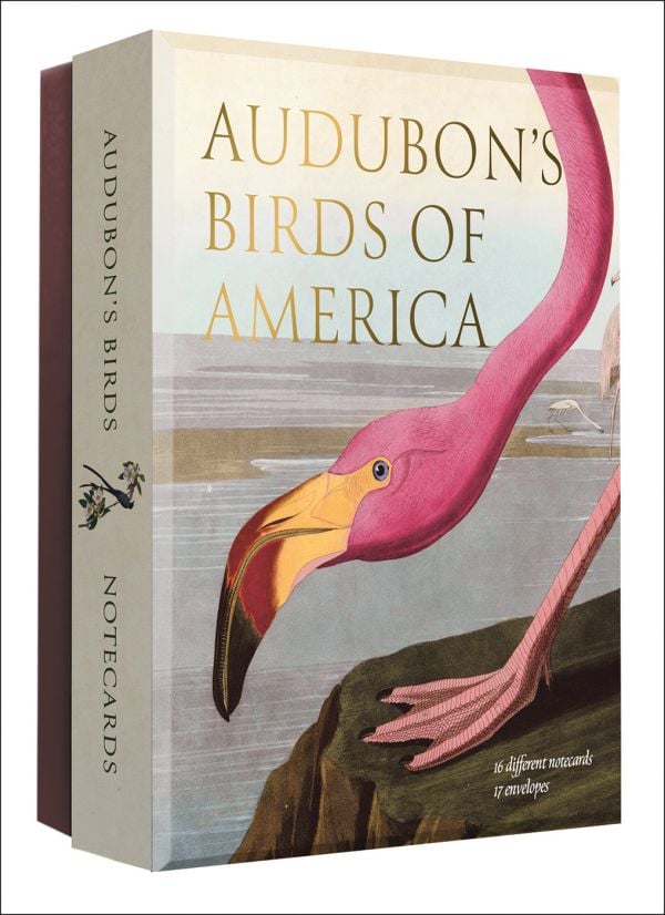 Notecard box of Audubon's Birds of America: An Abbeville Notecard Set, featuring a pink flamingo.