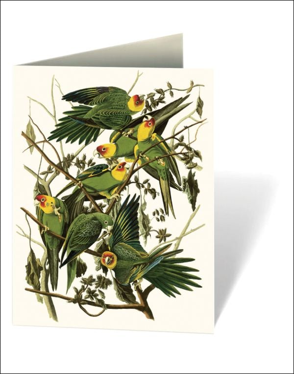 Notecard box of Audubon's Birds of America: An Abbeville Notecard Set, featuring a pink flamingo.