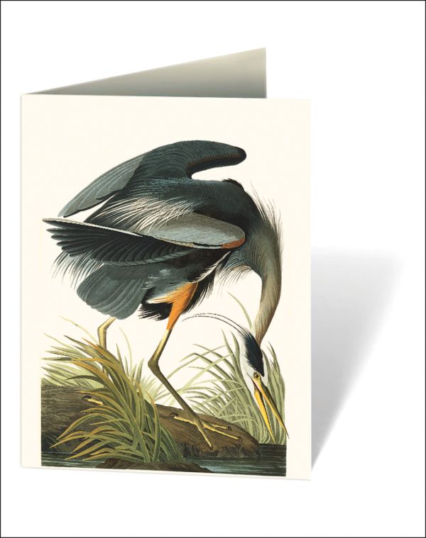 Notecard box of Audubon's Birds of America: An Abbeville Notecard Set, featuring a pink flamingo.