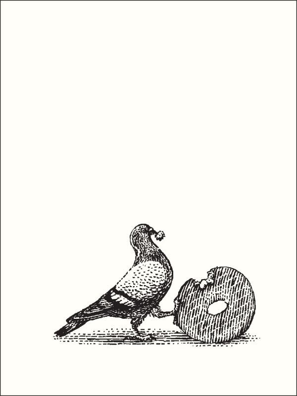 Notecard box of New York Nibbles: An Abbeville Press Mini Notecard Set; with a pigeon with chop sticks in its beck. Published by Abbeville Press.
