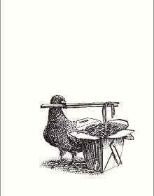 Notecard box of New York Nibbles: An Abbeville Press Mini Notecard Set; with a pigeon with chop sticks in its beck. Published by Abbeville Press.
