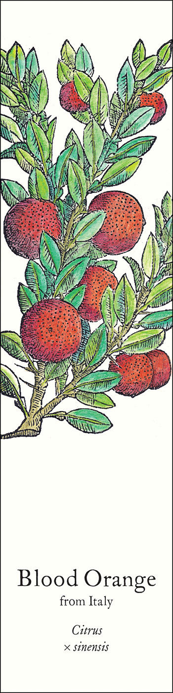 Biblioscents for the Gourmet