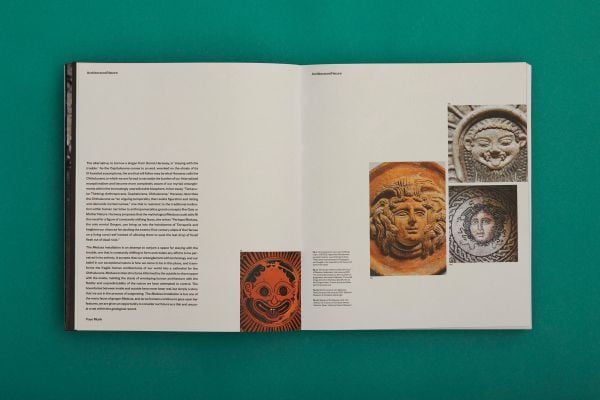 Book cover of Yoyo Munk's Medusa. Published by Hurtwood Press Ltd.