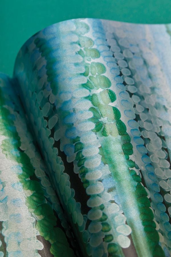 Book cover of Yoyo Munk's Medusa. Published by Hurtwood Press Ltd.