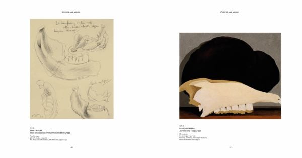 Book cover of O'Keeffe & Moore, with a pale sculpture titled 'Reclining Figure: Bone',. Published by Marquand Books.