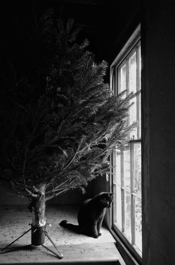 Book cover of A. S. Jasper’s A Hoxton Childhood & The Years After, with an London street full of shoppers. Published by Spitalfields Life Books Ltd.