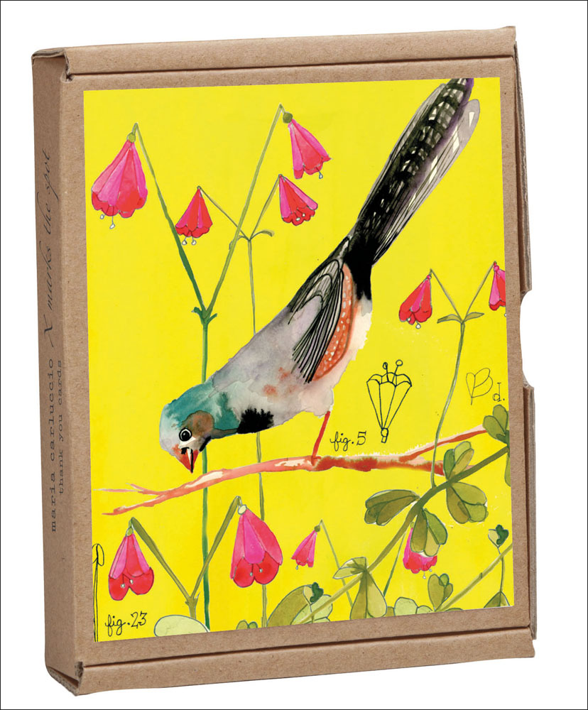 Anisa Makhoul's watercolour illustration of small bird, on notecard box, by teNeues stationers.