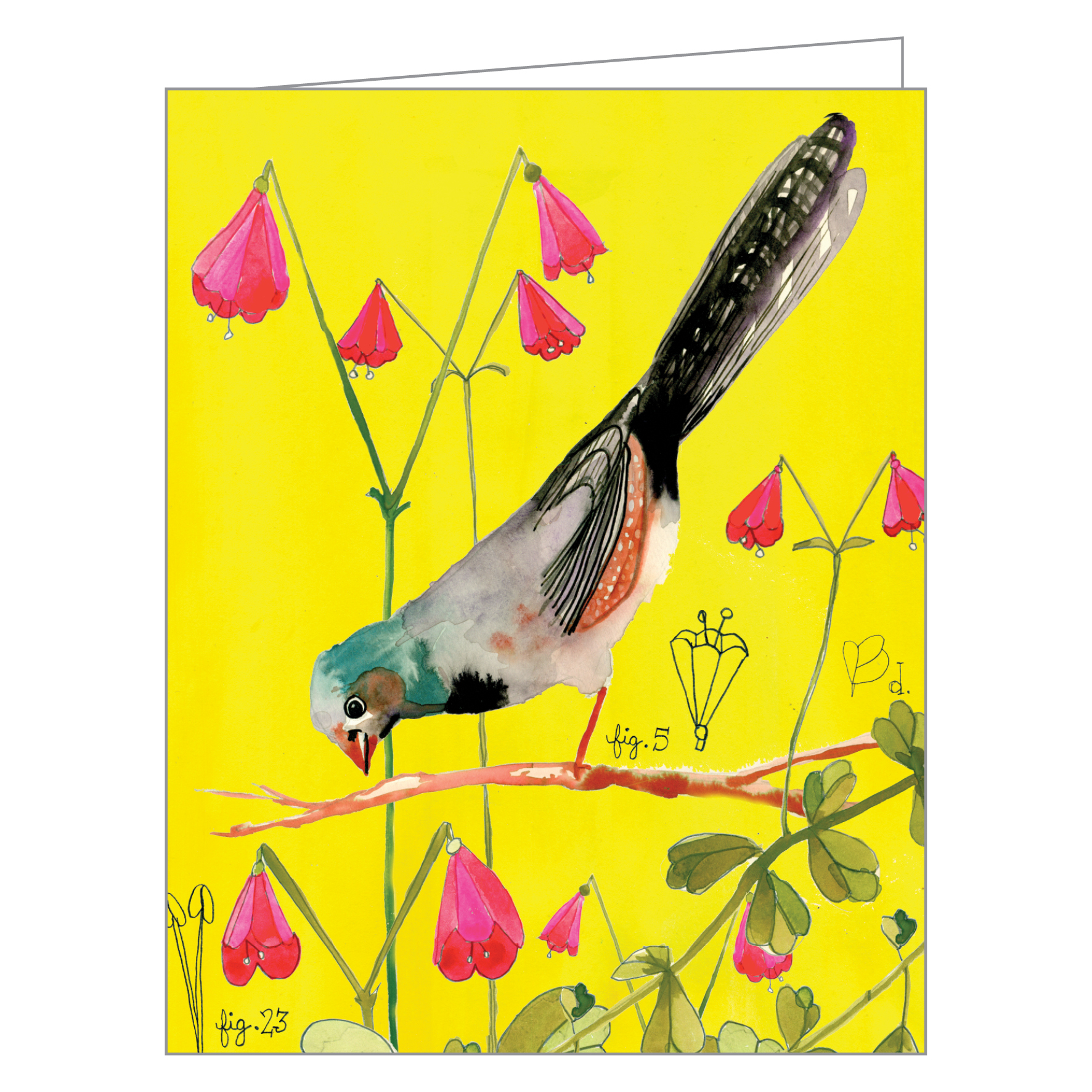 Anisa Makhoul's watercolour illustration of small bird, on notecard box, by teNeues stationers.