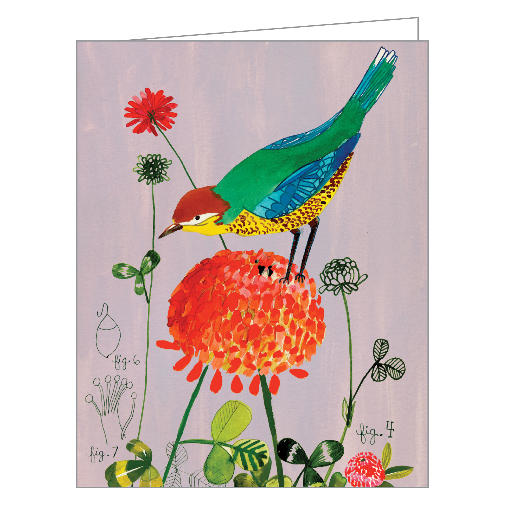 Anisa Makhoul's watercolour illustration of small bird, on notecard box, by teNeues stationers.