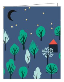 teNeues 'House and Harmony' stationery notecard box, house illustrations by Amy van Luijk to cover.
