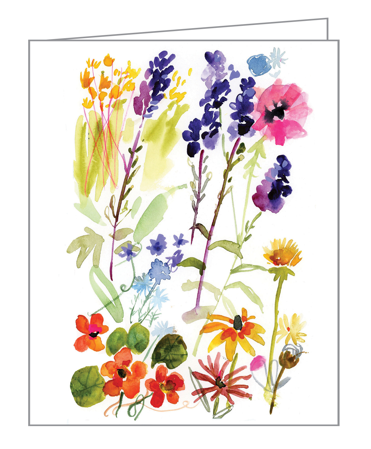 Jennifer Orkin's watercolours of meadow flowers and foliage, on notecard box, by teNeues stationery.