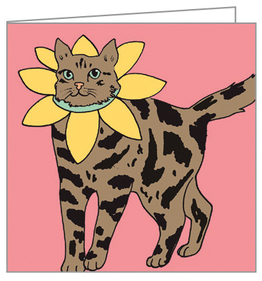 Karen Mabon's design of cats in fancy dress, to notecard box, by teNeues Stationery.