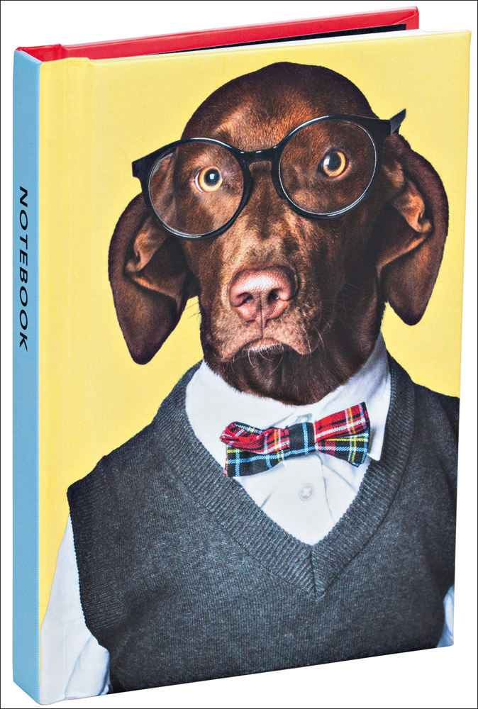 Sandra Muller's portrait of brown dog in bowtie and glasses, on notebook cover, by teNeues Stationery.
