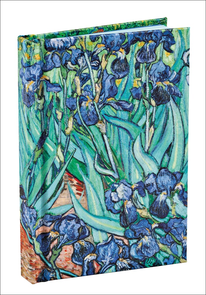 Blue green and yellow impressionist painting of Irises by Van Gogh from front to back