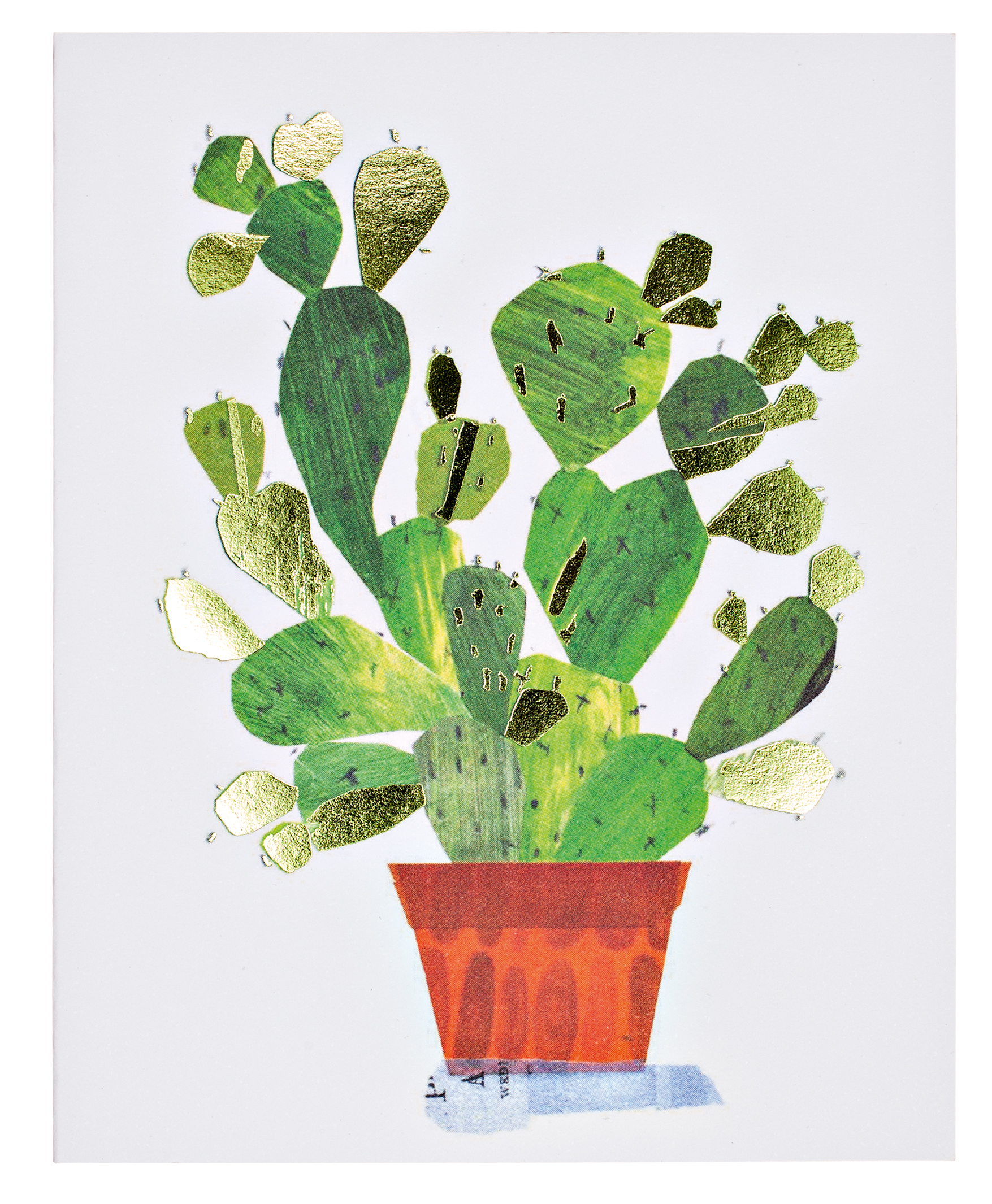 Maria Carluccio's bright green cactus in terracotta pot design, to notecard, by teNeues Stationery.