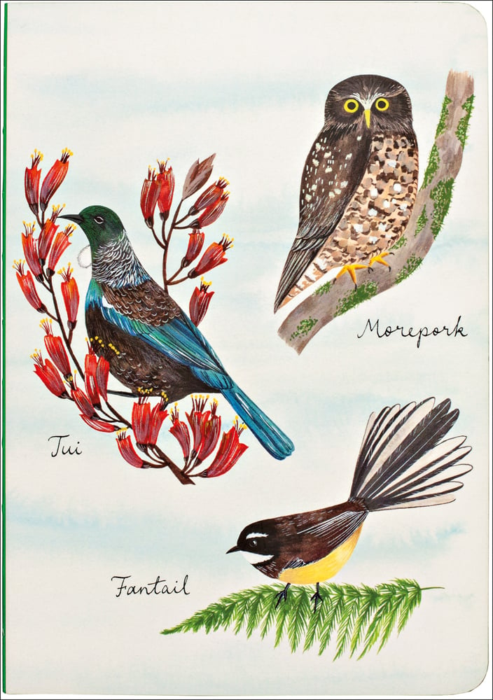 Three colourful hand drawn illustrations of birds native to New Zealand of a tui, a morepork owl and a fantail