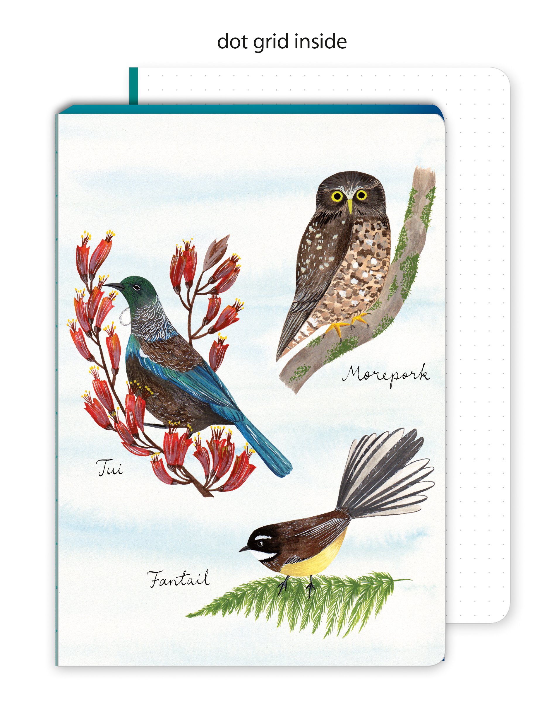 Three colourful hand drawn illustrations of birds native to New Zealand of a tui, a morepork owl and a fantail