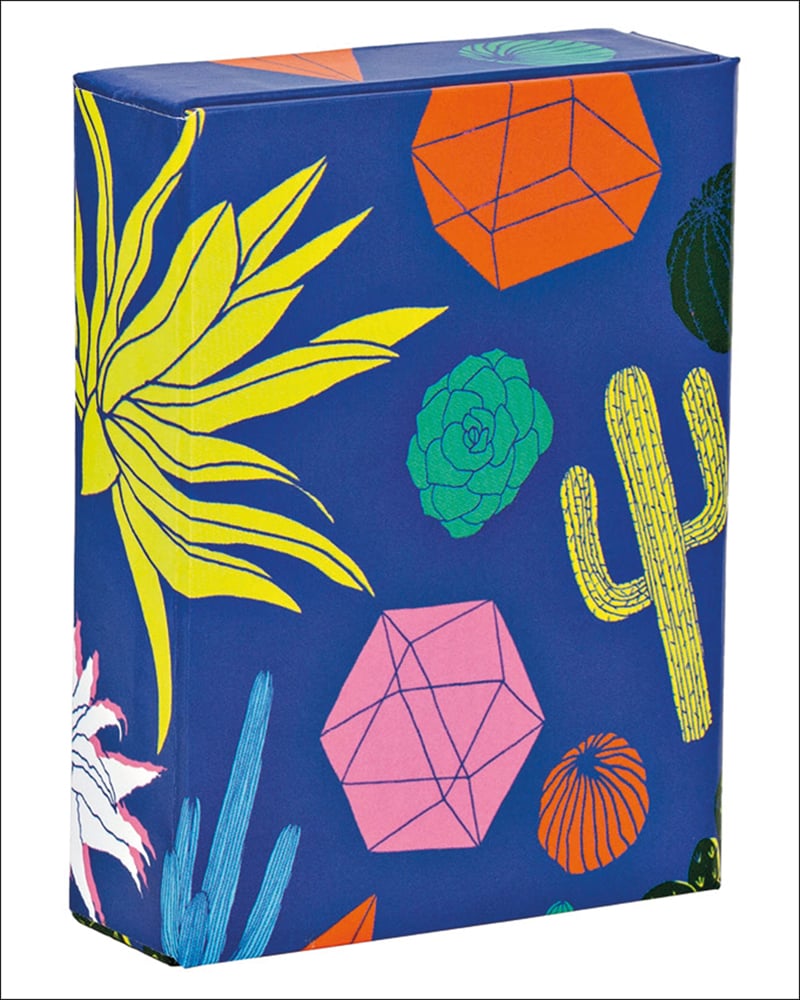 Bold cactus and geometric shapes print by artist Hello Marine, on playing card box, by teNeues stationery.