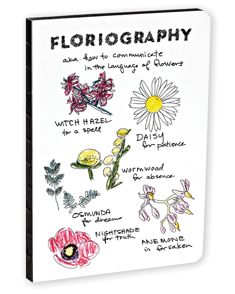 White cover with delicate colour labelled illustrations of a daisy, witch hazel, wormwood, osmunda, nightshade and anemone
