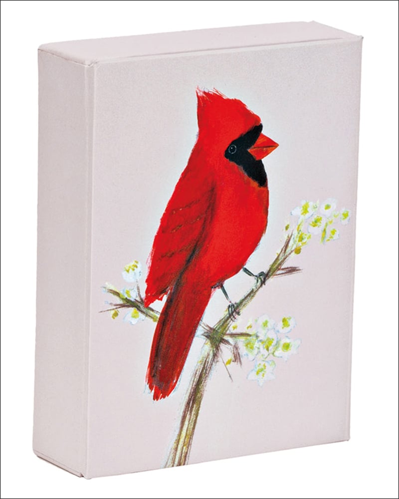 Print of Red Cardinal bird by Allyn Howard, on playing card box, by teNeues stationery.