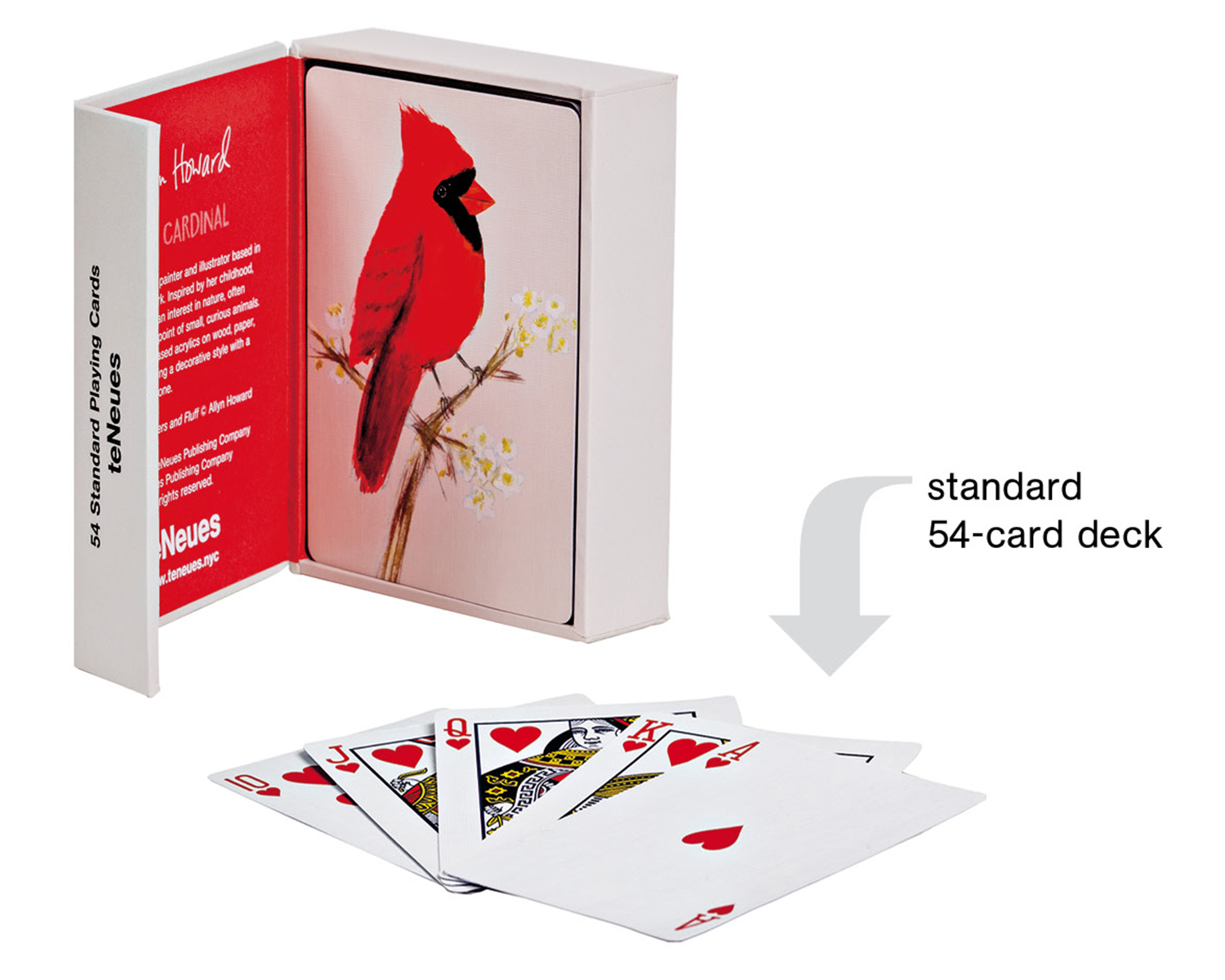 Print of Red Cardinal bird by Allyn Howard, on playing card box, by teNeues stationery.