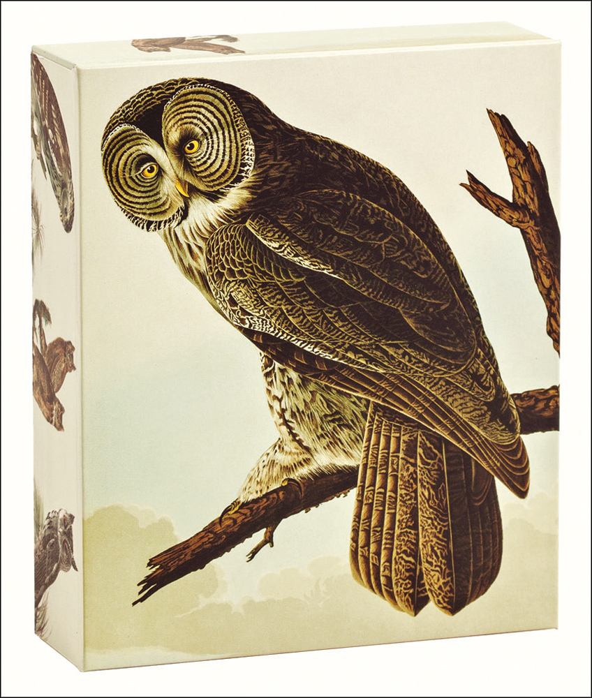 John James Audubon's great cinereous owl painting on front of notecard box.