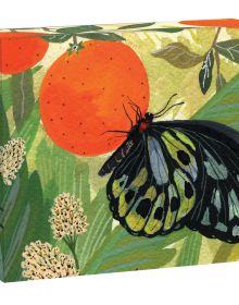 Watercolour of butterfly on orange fruit, hanging from tree, on keepsake box, by teNeues Stationery.
