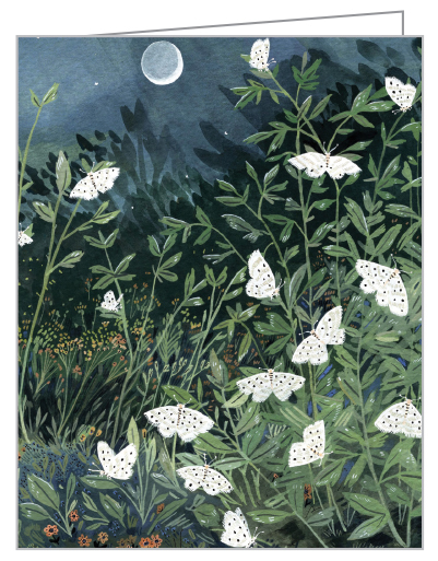 Notecard box of Butterflies QuickNotes, featuring a watercolour of butterfly on orange fruit, hanging from tree. Published by teNeues Stationery.