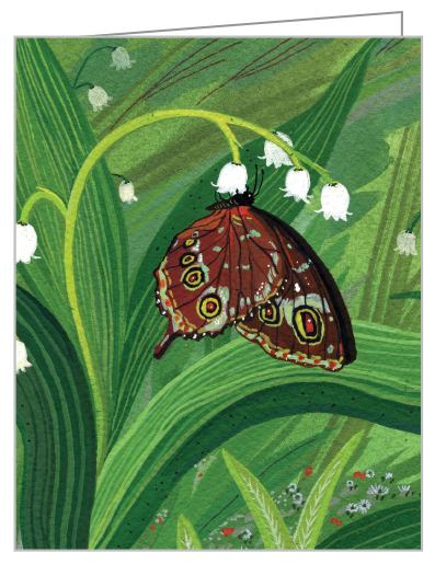 Notecard box of Butterflies QuickNotes, featuring a watercolour of butterfly on orange fruit, hanging from tree. Published by teNeues Stationery.