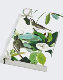 Pen-set box cover of Warbling Flycatcher, James Audubon 8-Pen Set, with painting of two birds in tree. Published by teNeues Stationery.