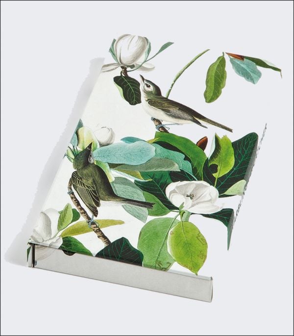 Pen-set box cover of Warbling Flycatcher, James Audubon 8-Pen Set, with painting of two birds in tree. Published by teNeues Stationery.