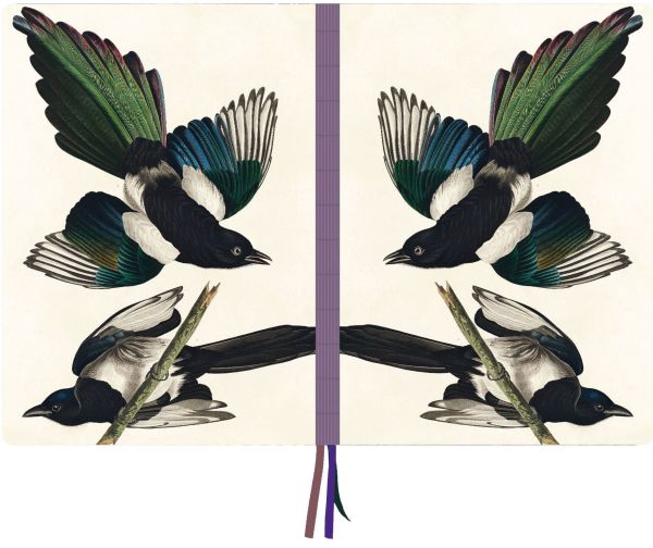 Two birds on cover of 'Magpies, James Audubon A4 Notebook', by teNeues Stationery.