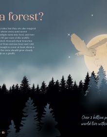 Book cover of We the Forest, with a red squirrel near tree trunk, bluebell forest, and tree roots exposed below. Published by Cultureshock.