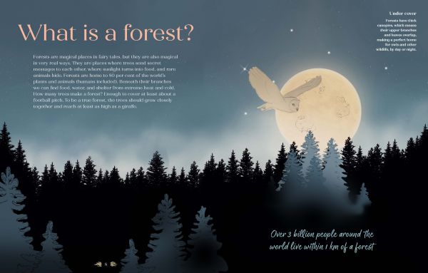 Book cover of We the Forest, with a red squirrel near tree trunk, bluebell forest, and tree roots exposed below. Published by Cultureshock.