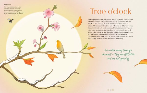 Book cover of We the Forest, with a red squirrel near tree trunk, bluebell forest, and tree roots exposed below. Published by Cultureshock.