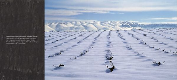 Book cover of A Year in the Vineyard with worker holding secateurs and a bunch of grapes. Published by Cultureshock.