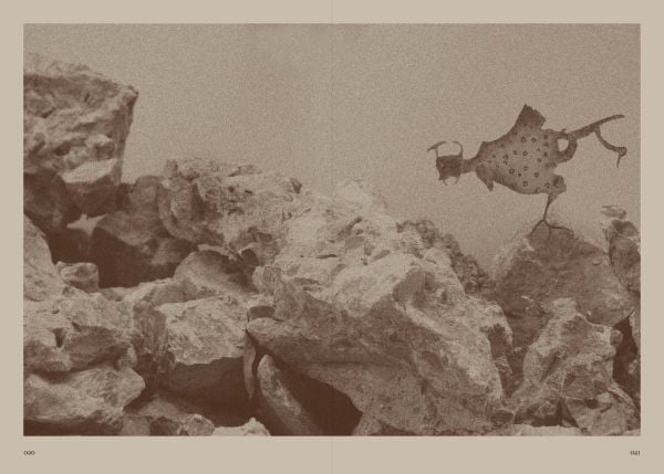 Book cover of Cacaform Birds. Published by ACC Art Books.