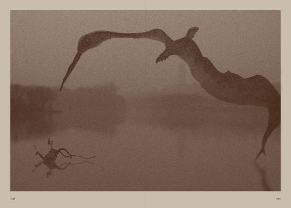 Book cover of Cacaform Birds. Published by ACC Art Books.