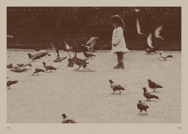 Book cover of Cacaform Birds. Published by ACC Art Books.