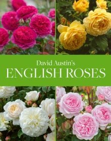 Four English roses in pink, yellow and cream, on cover of 'David Austin's English Roses', by ACC Art Books.
