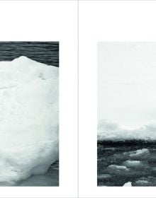 Book cover of Polar Bears, A Life Under Threat, with an adult polar bear with two cubs on snow. Published by ACC Art Books.