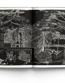 Book cover of Leng Bingchuan: Master of Chinese Black and White Art. Published by ACC Art Books.