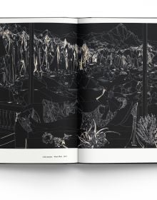 'Master of Chinese Black and White Art, Leng Bingchuan', in black font to top of mottled grey cover, by ACC Art Books.