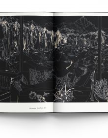 Book cover of Leng Bingchuan: Master of Chinese Black and White Art. Published by ACC Art Books.
