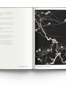 Book cover of Leng Bingchuan: Master of Chinese Black and White Art. Published by ACC Art Books.