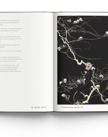 'Master of Chinese Black and White Art, Leng Bingchuan', in black font to top of mottled grey cover, by ACC Art Books.