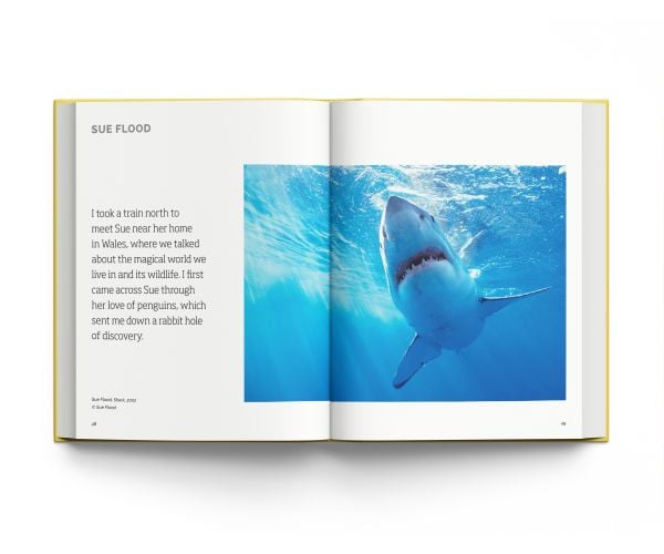 Book cover of Photographers on the Art of Photography. Published by ACC Art Books.