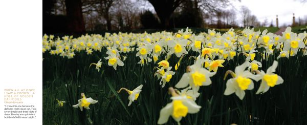 Book cover of Oliver's Britain, with the British landscape. Published by ACC Art Books.