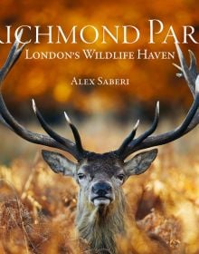 Book cover of Richmond Park: London's Wildlife Haven, with a male red deer with huge antlers standing amongst dried ferns with autumn trees out of focus. Published by ACC Art Books.