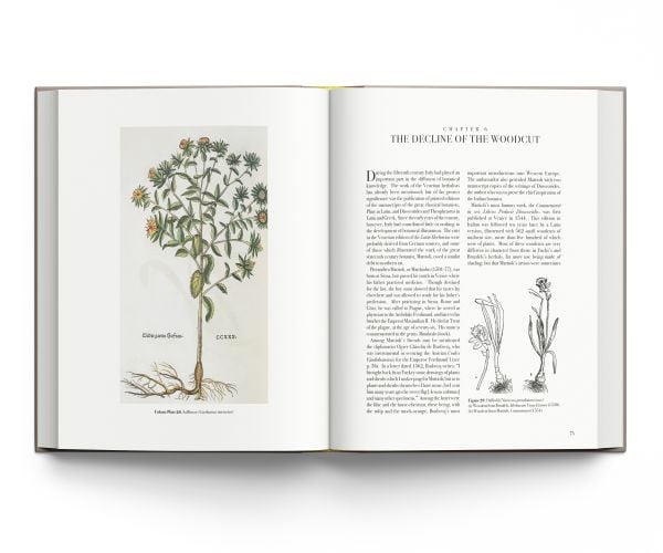 The Art of Botanical Illustration - ACC Art Books US
